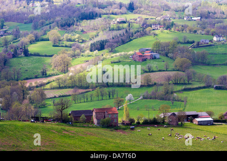 Bucolic landscape with hilly pastures, stone farmhouses, and cows grazing in Midi-Pyrenees region of France Stock Photo