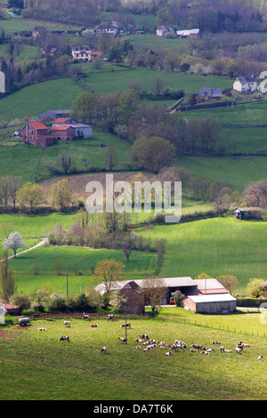 Bucolic landscape with hilly pastures, stone farmhouses, and cows grazing in Midi-Pyrenees region of France Stock Photo