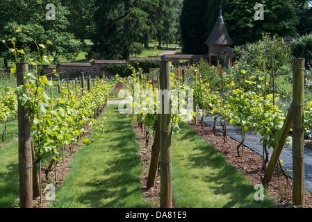 Bolham, Tiverton, Devon, UK. July 5th 2013.  The walled garden at Knightshayes Court was restored to its full glory in 2001. Stock Photo