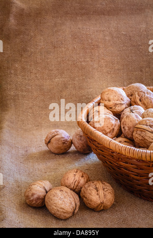 Unshelled walnut lying on sackcloth Stock Photo