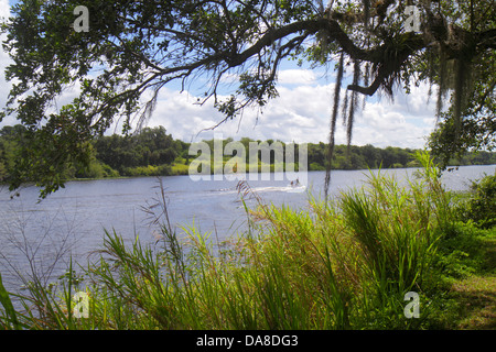 Florida,LaBelle,Caloosahatchee River,boat,live oak,Spanish moss,FL130531030 Stock Photo