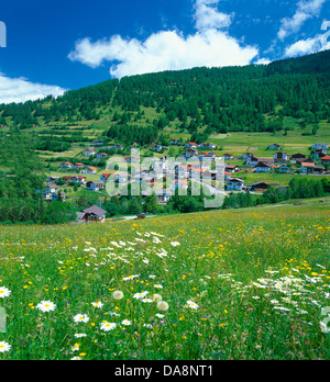 Austria, Europe, Tyrol, uplands, Kaunertal, Fendels, mountain village, vacation, mountain vacation, meadow, flowers, flower mead Stock Photo
