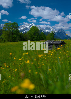 Germany, Bavaria, Werdenfels, Garmisch-Partenkirchen, Pfeifer, Alp meadow, flowers, flower meadow, Stadel, mountains, Alpspitze, Stock Photo