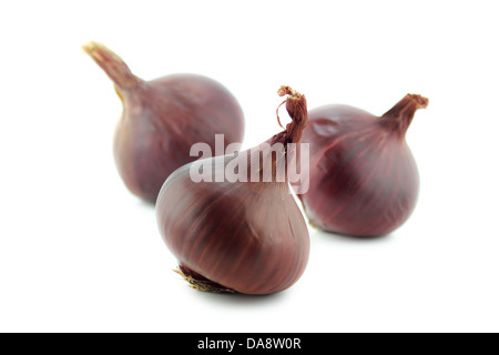 Ripe red onions on white background. Stock Photo