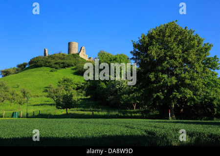 Desenberg Burgruine Desenberg auf dem Desenberg in Warburg-Daseburg, Ostwestfalen ...