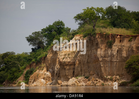 Africa, Uganda, East Africa, black continent, pearl of Africa, Great Rift, Murchison Falls, national park, nature, wilderness, r Stock Photo