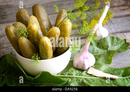 Pickles gherkins salted cucumbers still life on old planks Stock Photo