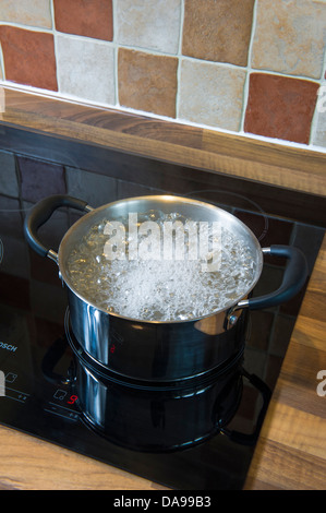 Two handled pot with boiling water. Sucepan steaming. Stock Photo