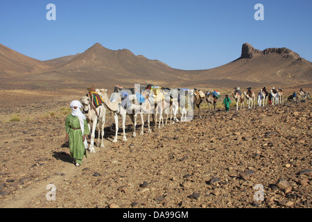 Algeria, Africa, north Africa, desert, stone desert, rocky desert, gibber plain, Sahara, Tamanrasset, Hoggar, Ahaggar, mountain, Stock Photo