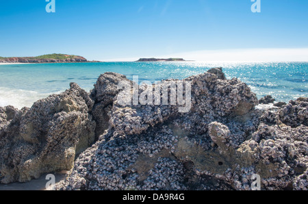 Rocks and mussel shells at the sandy eastern beach of Cape Leveque, Dampier Peninsula, Kimberley, Western Australia