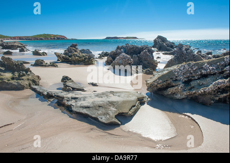 Rocks and mussel shells at the sandy eastern beach of Cape Leveque, Dampier Peninsula, Kimberley, Western Australia