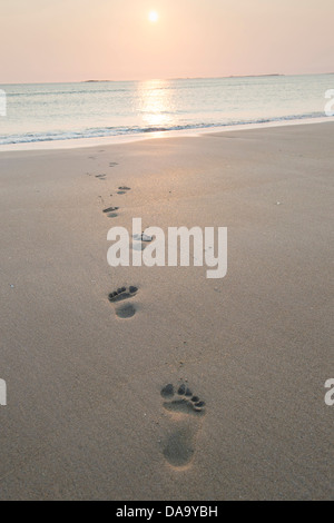 Footprints on a beach walking towards the sea at sunrise. Bamburgh, Northumberland, England Stock Photo