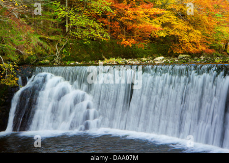 Gorges de l'Areuse, Switzerland, Europe, canton, Neuenburg, gulch, river, flow, Areuse, waterfall, water, autumn, trees Stock Photo