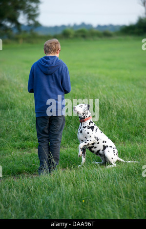 A young boy with his pet Dalmatian dog. Stock Photo