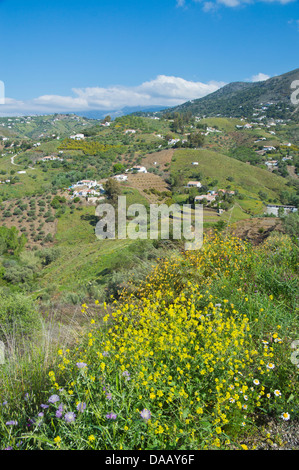 COMPETA. MOUNTAIN VILLAGE COSTA DEL SOL. SPAIN Stock Photo - Alamy
