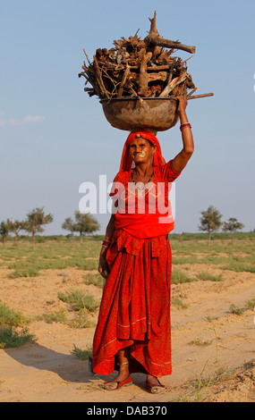 Bishnoi, village, hut, land, country, rural, poor, camel, sundown, sunset, straw hut, India, Asia, Rajasthan, Stock Photo