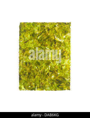 Nori, roasted seaweed snack Stock Photo