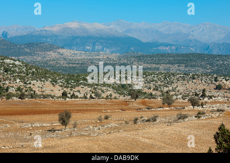 Türkei, Provinz Icel (Mersin), nördlich von Tarsus, karge Landwirtschaft Stock Photo