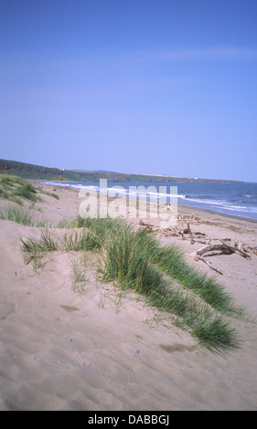 The beach at St Cyrus National Nature Reserve - Aberdeenshire, Scotland ...