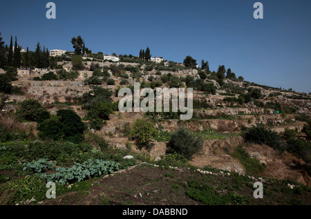 View of the ancient terraces of the Palestinian village of Battir, which are located west of Bethlehem south of Jerusalem with parts of its lands situated on the Israeli side of the Green Line. The village of Battir has been recognized by Unesco for its ancient agricultural terracing and irrigation systems which is still in use today. Stock Photo