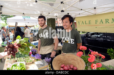 Yalies work as summer interns in Yale's organic garden. Vietnamese American Timothy Le, '14, r, and Jackson Blum, '15, left. Stock Photo