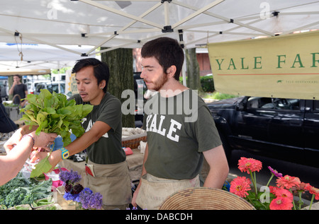 Yalies work as summer interns in Yale's organic garden. Vietnamese American Timothy Le, '14, left, and Jackson Blum, '15, r. Stock Photo