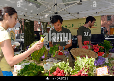 Yalies work as summer interns in Yale's organic garden. Vietnamese American Timothy Le, '14, center left, and Jackson Blum, '15 Stock Photo
