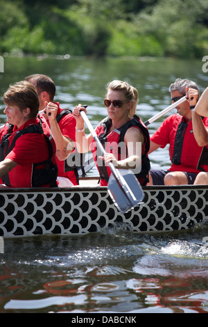 Dragon Boat racing in Warwick on the River Avon at the 2013 Corporate Games Stock Photo
