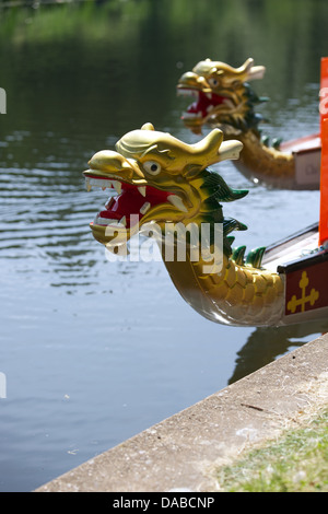 Dragon Boat racing in Warwick on the River Avon at the 2013 Corporate Games Stock Photo