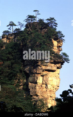 Quartzite narrow sandstone pillars and peaks at the Wulingyuan Scenic and Historic Interest Area in Zhangjiajie National Forest Park in Hunan province China Stock Photo