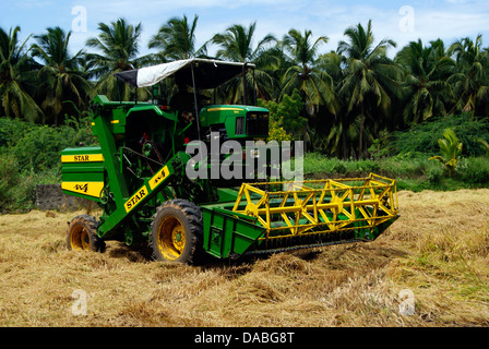 Harvester Working on Rice Field of Tamil Nadu, India Stock Photo