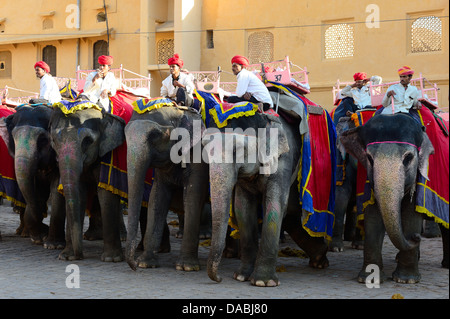 Elephants ready for tours in Amber fort, Jaipur, Rajasthan, India, Asia Stock Photo