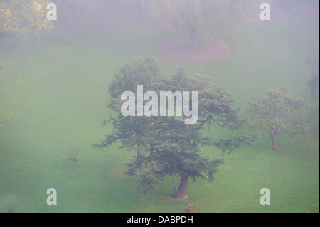 Looking down on a misty Flagstaff Gardens in the center of downtown Melbourne Australia. Stock Photo