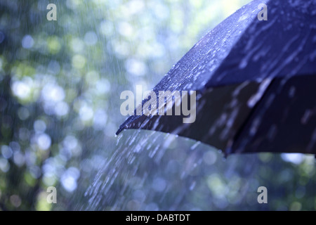 Rain on umbrella Stock Photo