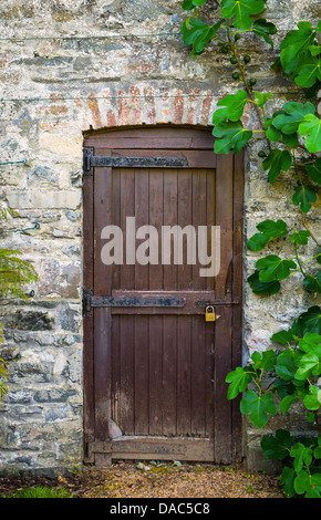 old stone wall - Padlocked Wooden gate in old garden wall Stock Photo