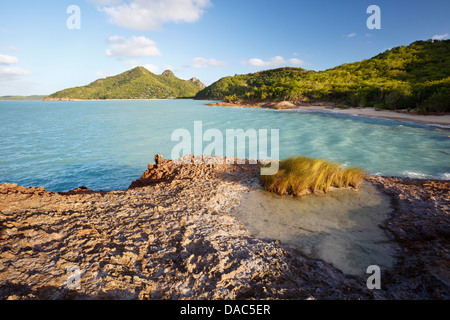 Secret caribbean beach with a little pond in the foreground and turquoise sea, Antigua. Stock Photo