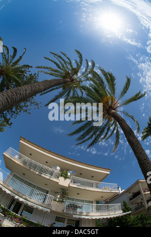 Holiday apartments and palm trees at the beautiful Puerto Pollensa (Port de Pollenca) in Northern Mallorca Majorca, Spain Stock Photo