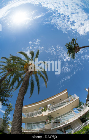 Holiday apartments and palm trees at the beautiful Puerto Pollensa (Port de Pollenca) in Northern Mallorca Majorca, Spain Stock Photo