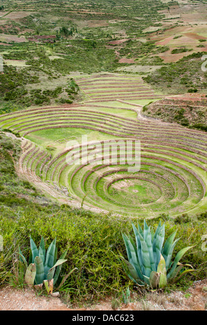 Ancient Moray Incan terraced agricultural laboratory stone terraces ruins remains near Maras, Sacred Valley, Peru. Stock Photo