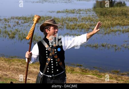 Shepherd Maik Gersonde leads his herd of 450 mother sheep to a field that is partially flooded along the Elbe River in Doemnitz, Germany, 09 July 2013. Even a month after the flood of the century, areas along the Elbe River are still flooded making it difficult to find adequate grazing space. Photo: JENS BUETTNER Stock Photo