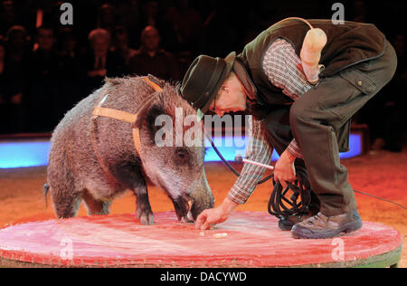 Animal trainer Pietro Bento and his  boar Fritzi perform during the premiere of the winter programme of Circus Krone in Munich, Germany, 25 December 2011. The winter shiws are running until 15 April 2012. Photo: Tobias Hase Stock Photo