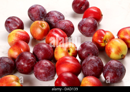 Nectarines and Plums on the kitchen table background Stock Photo