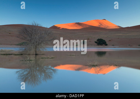 Rising sun catching the summit of sand dunes, Namib Desert near Sesriem, Namib Naukluft Park, Namibia Stock Photo