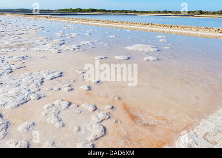 Salt lake, Formentera, Balearic Islands, Spain, Mediterranean, Europe Stock Photo