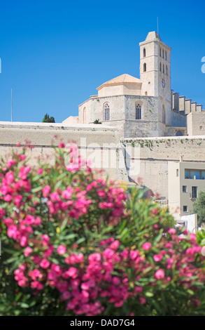 Ibiza Cathedral, Old Town (Dalt Vila), UNESCO World Heritage Site, Ibiza, Balearic Islands, Spain, Europe Stock Photo