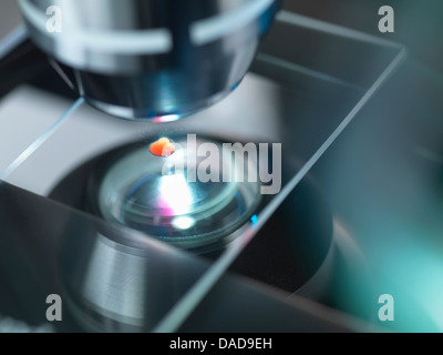 A light microscope examining a sample in lab for pharmaceutical research Stock Photo