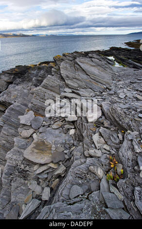 Bizarre rock formations border the coastline of the Arctic Sea near the town of Havoeysund, Norway, 14 September 2011. Havoeysund is located around 60 kilometres east of the North Cape, which marks Europe's most northern geographical point. Photo: Patrick Pleul Stock Photo