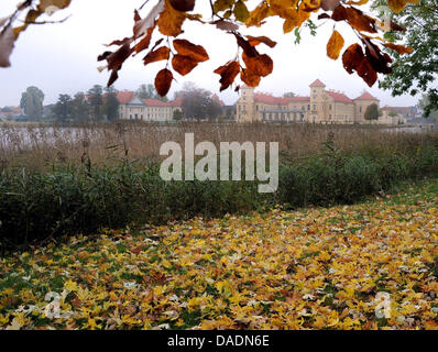 Coloured autumnal leaves lie on the maedows of the castle park of Rheinsberg, Germany, 24 Octobner 2011. Frederick the Great, while still Crown Prince, designed and moved into a restored chateau in Rheinsberg. The Castle is also known in literature through works by Theodor Fontane and Kurt Tucholsky. Photo: Bernd Settnik Stock Photo