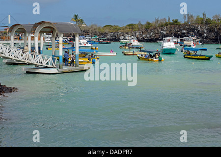 landing stages in port of Puerto Ayora, Ecuador, Galapagos Islands, Santa Cruz Stock Photo