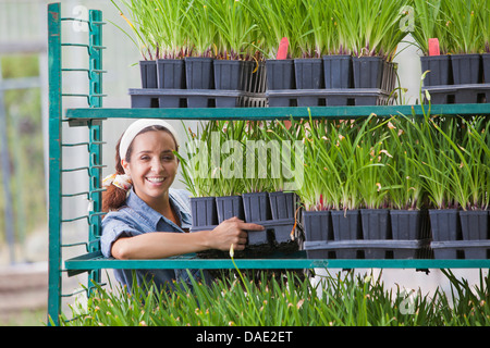 Young sales assistant arranging shelves of plants in garden centre Stock Photo